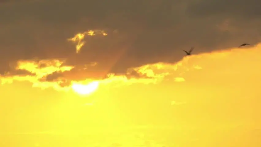 2021流行色是“灰黄”?展览展示设计紧跟潮流! 2021流行色是“灰黄”?展览展示设计紧跟潮流!